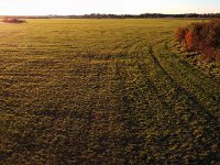 [Group 5]-DJI 0001 DJI 0021-21 images